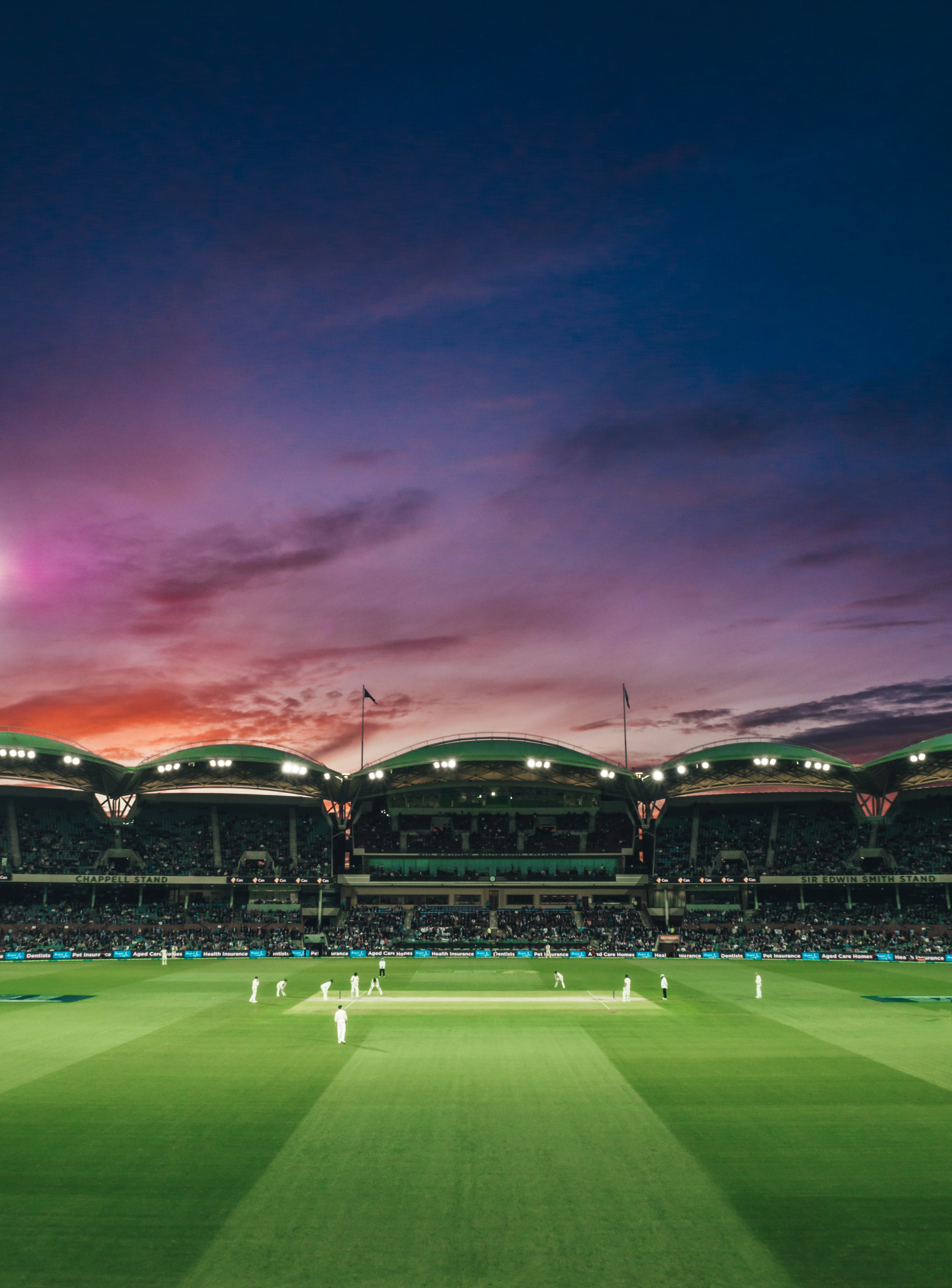 Cricket action photograph